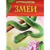 Змеи. snakes